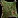feedicon
